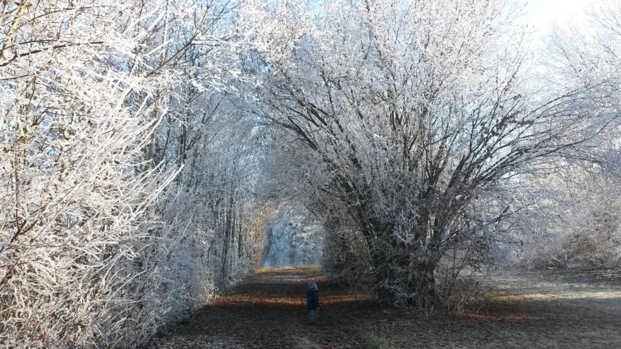 Kaernten Apartment Turnersee Sankt Kanzian am Klopeiner See Kültér fotó